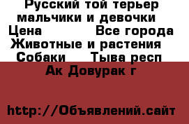 Русский той-терьер мальчики и девочки › Цена ­ 8 000 - Все города Животные и растения » Собаки   . Тыва респ.,Ак-Довурак г.